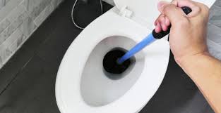 deboucher des wc