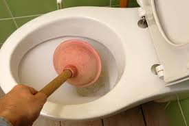 débouchage de wc