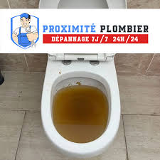 plombier toilette bouchée