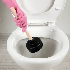 deboucher un toilette rapidement