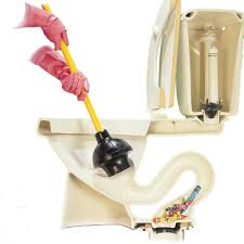 deboucher wc rapidement
