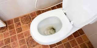 debouchage wc pas cher