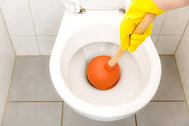 deboucher toilette broyeur