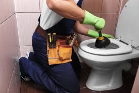 plombier toilettes bouchées