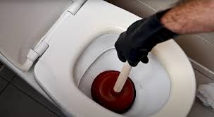 déboucher les toilettes naturellement