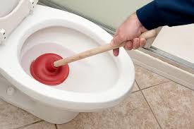 pour déboucher les wc