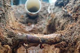 debouchage canalisation racines