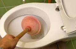 déboucher des wc rapidement