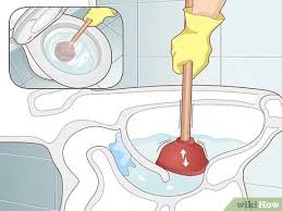 deboucher ses toilettes