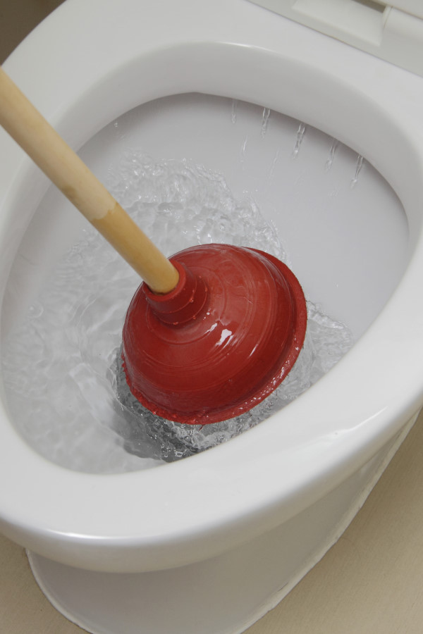 déboucher des toilettes rapidement